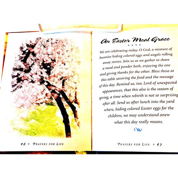 Prayers for Life by Wilde & Huffman (1999 HC no DJ) - Picture 11 of 12